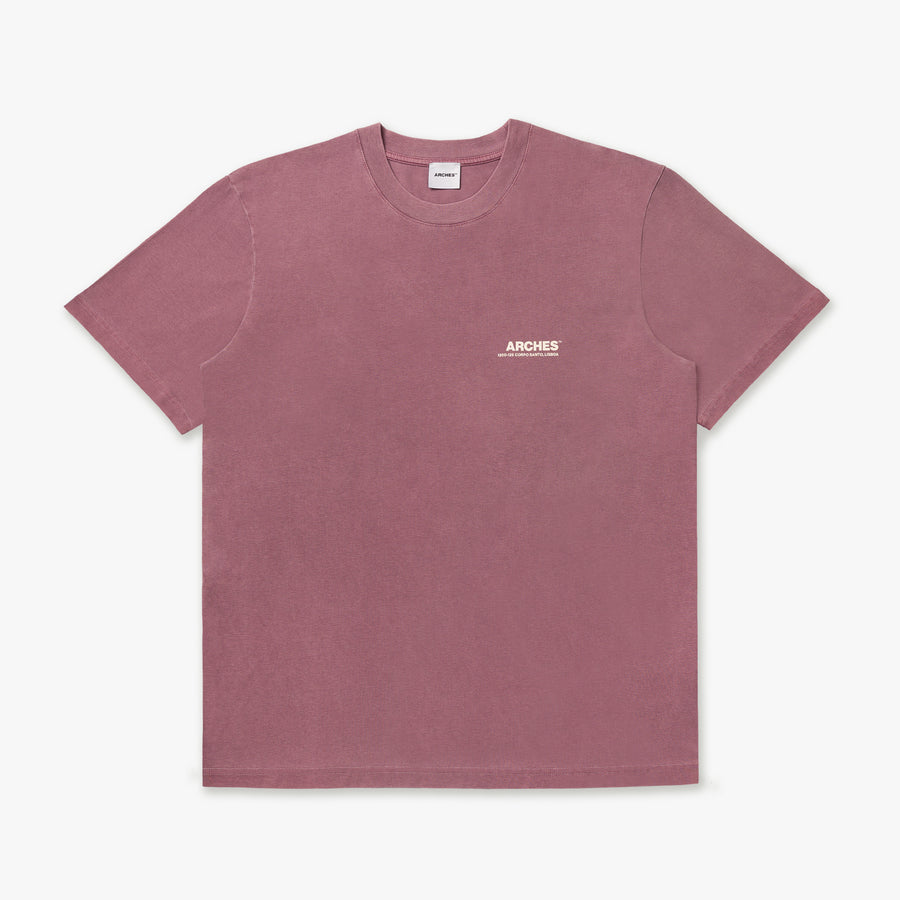 CORE LOGO PIGMENT WASH REGULAR FIT T-SHIRT